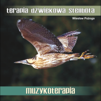 TERAPIA DŹWIĘKOWA STELLBOTA - 432 HZ. Muzyka na CD